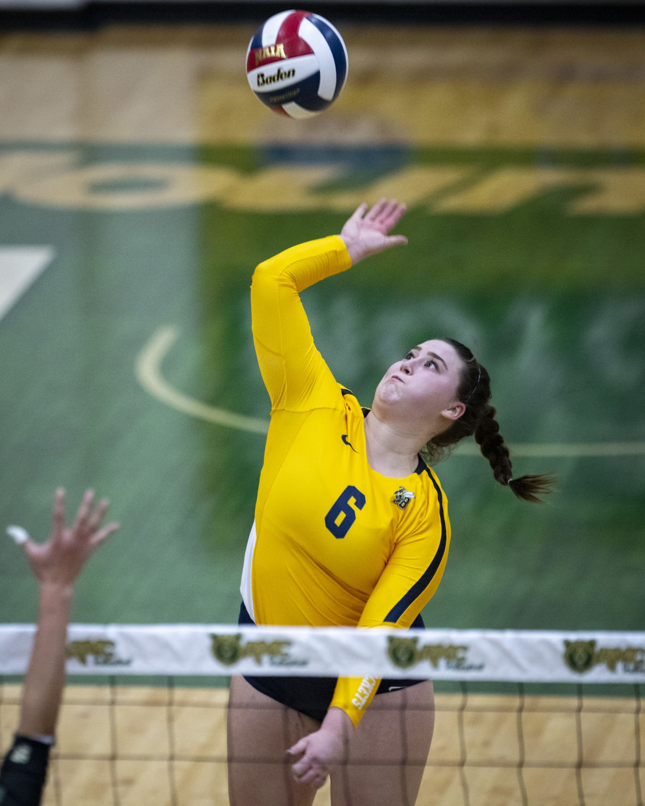 MSU Billings vs. Rocky Mountain College